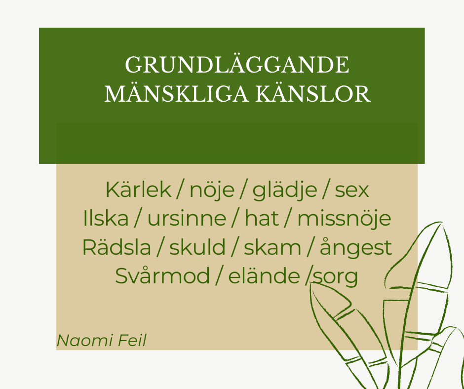 Grundläggande mänskliga känslor